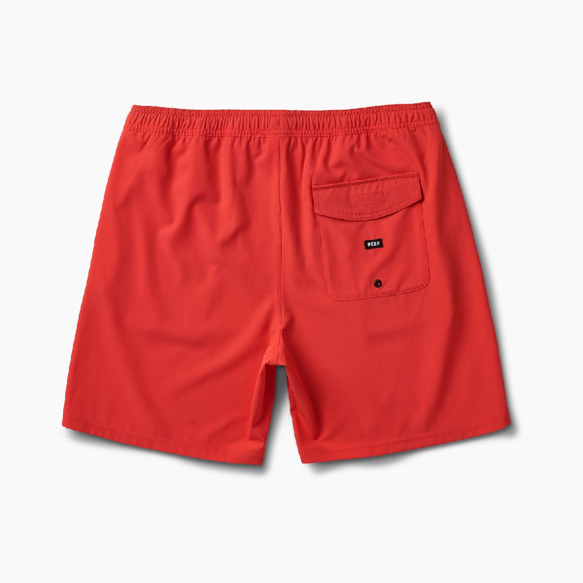 3FMWH0225HIBIS_BACK.jpg