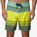 Casey Stripe Boardshort 17