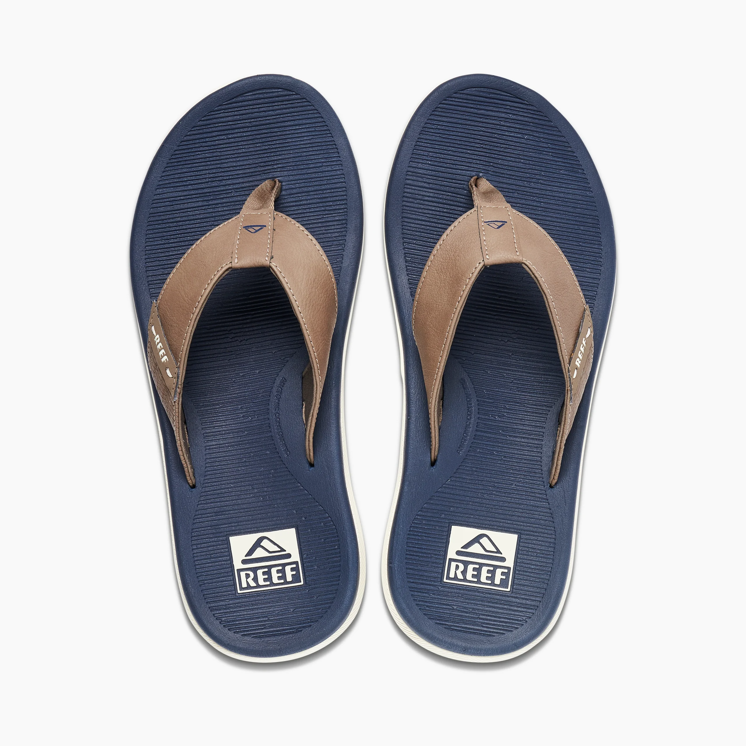 CJ0381_T-scaled-1.webp