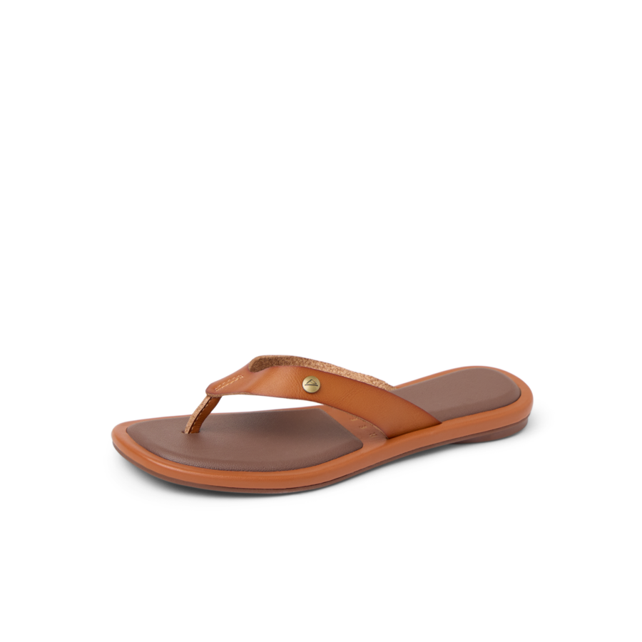 CJ6319_WILLOW_ELLA_COCOA_CAPPUCCINO_LS_SHADOW-900x900-c4cc11b_2624a507-5917-4635-9cc5-0c1814ad86ff.png