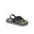 Tropical Rainbow
