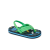 Multi Shark