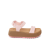English Rose