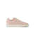 Cameo Rose