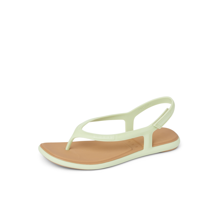 CJ7693_WATER_WILLOW_MAYA_ALOE_LS-900x900-c4cc11b-1.png