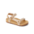 Ditsy Cheetah