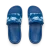 Royal Sharks