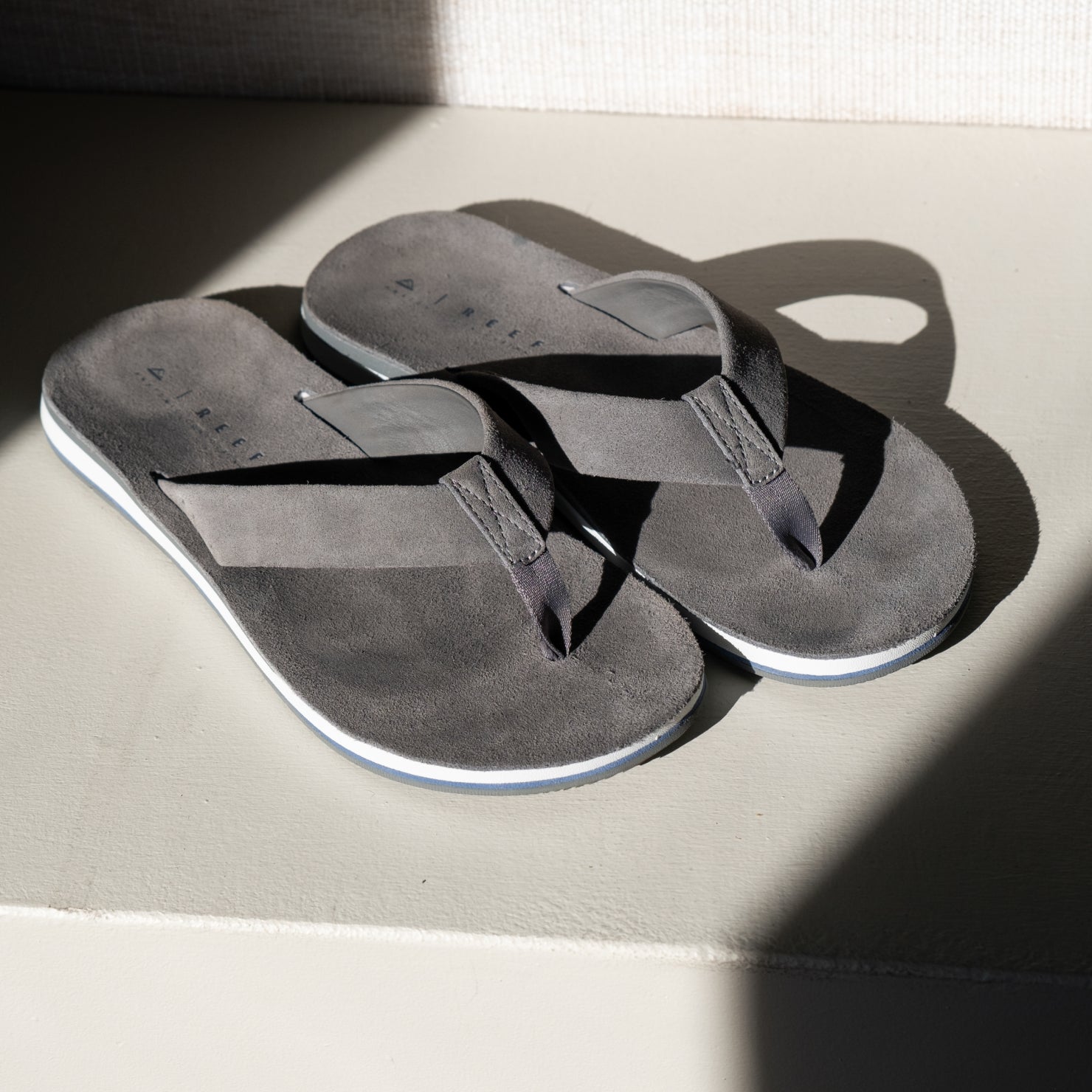 PDP-Grey-PDPALT-2.jpg