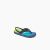 Aqua/Green