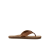 Bronze Brown